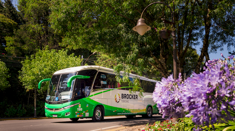 Brocker Turismo é premiada como uma das melhores atividades do mundo pelo Travellers Choice