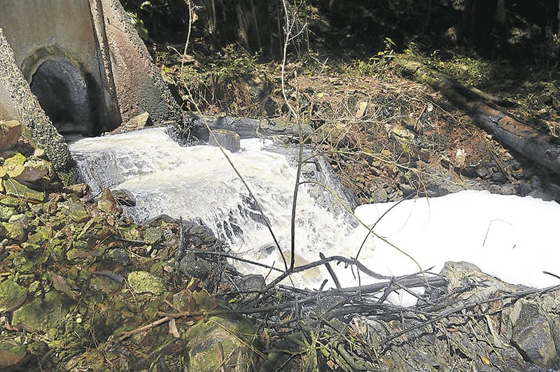 Corsan é condenada por crime ambiental no tratamento de esgoto em Canela