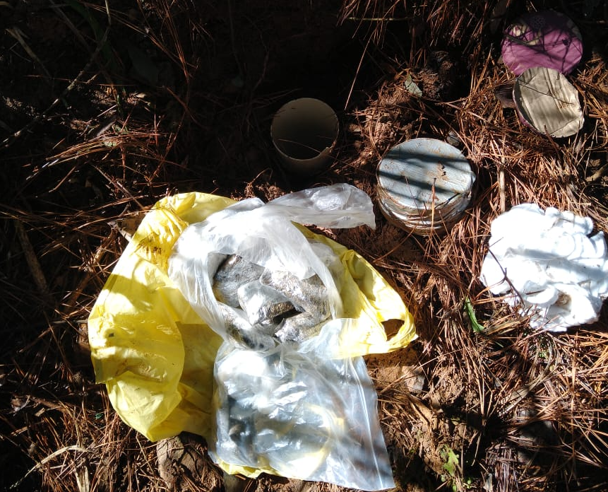 Brigada Militar de Gramado apreende drogas enterradas no mato